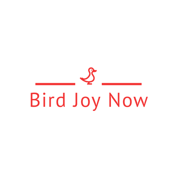Bird Joy Now